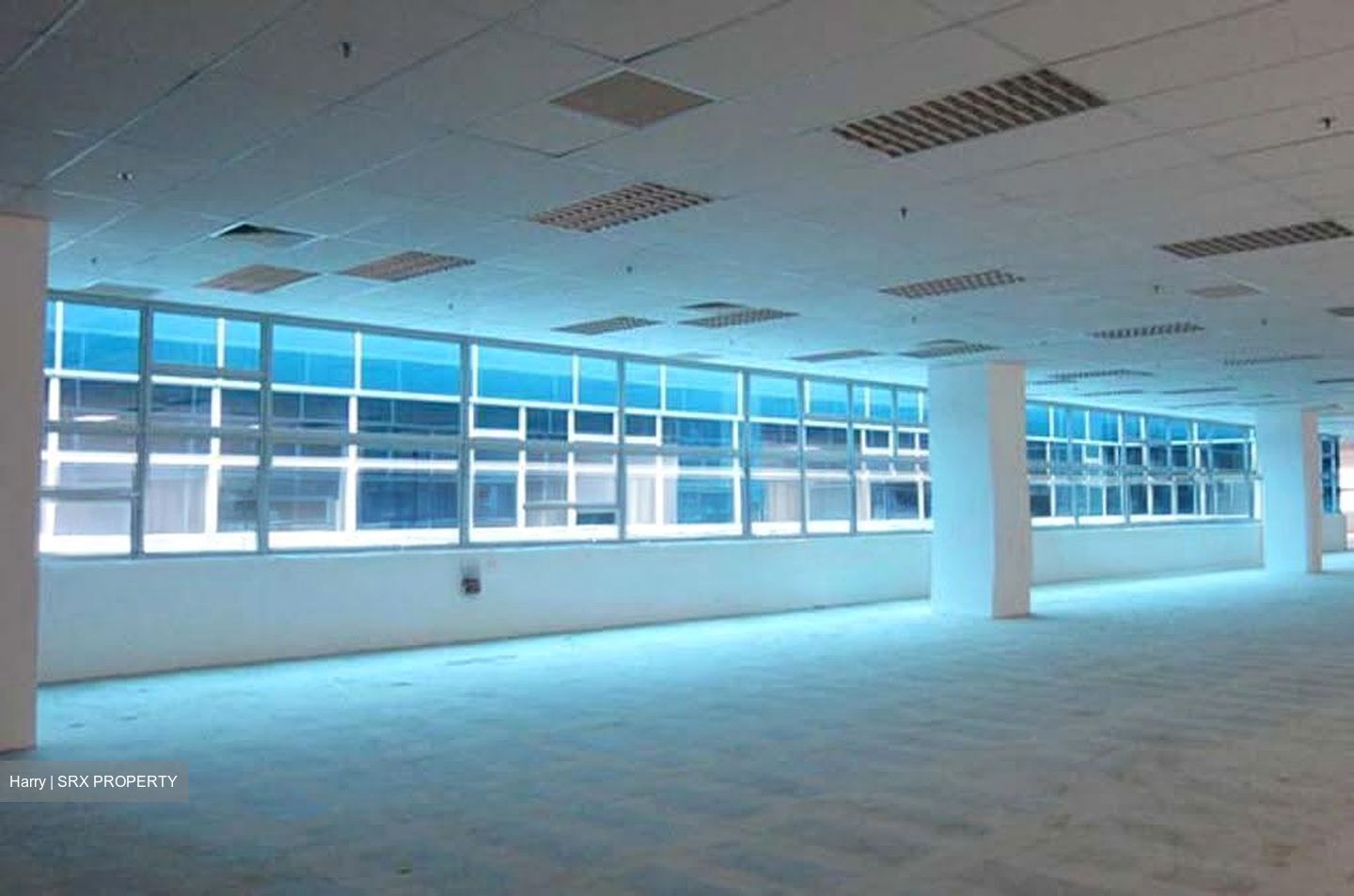 Techview (D14), Factory #613412281